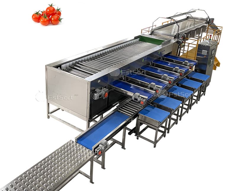 images/1663052782574cherry Tomato sorter packing machine.jpg